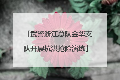 武警浙江总队金华支队开展抗洪抢险演练