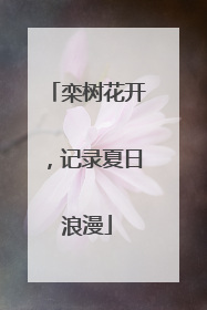 栾树花开，记录夏日浪漫