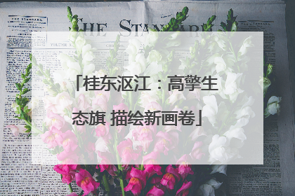 桂东沤江：高擎生态旗 描绘新画卷