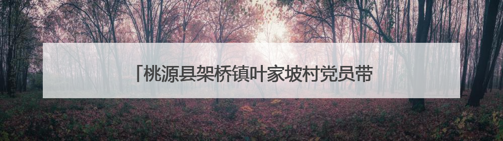 桃源县架桥镇叶家坡村党员带头践行乡风文明二十条规定
