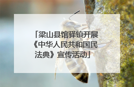 梁山县馆驿镇开展《中华人民共和国民法典》宣传活动