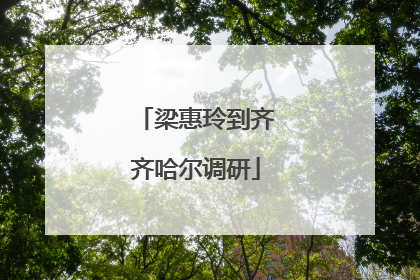 梁惠玲到齐齐哈尔调研