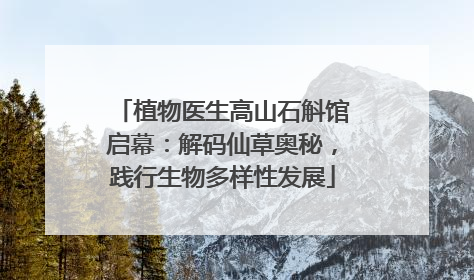 植物医生高山石斛馆启幕：解码仙草奥秘，践行生物多样性发展