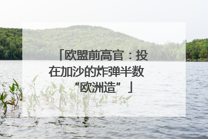 欧盟前高官：投在加沙的炸弹半数“欧洲造”