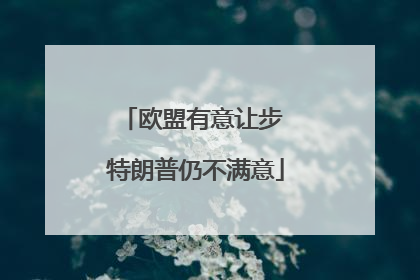 欧盟有意让步 特朗普仍不满意