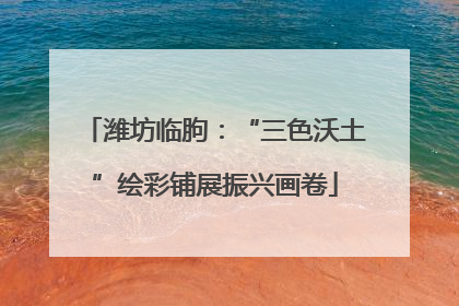 潍坊临朐：“三色沃土”绘彩铺展振兴画卷