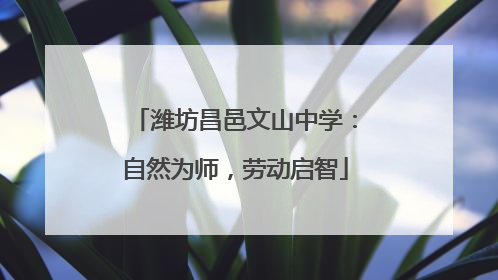 潍坊昌邑文山中学：自然为师，劳动启智