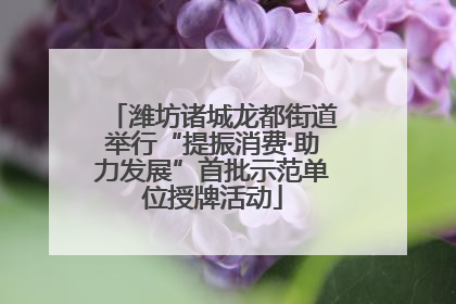 潍坊诸城龙都街道举行“提振消费·助力发展”首批示范单位授牌活动