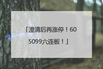 澄清后再涨停！605099六连板！
