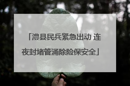 澧县民兵紧急出动 连夜封堵管涌除险保安全