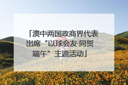 澳中两国政商界代表出席“以球会友·同贺端午”主题活动