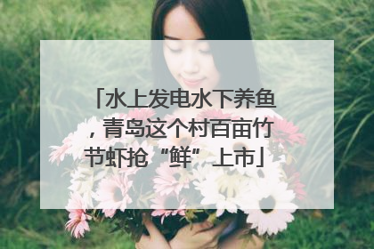水上发电水下养鱼，青岛这个村百亩竹节虾抢“鲜”上市