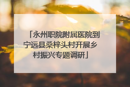 永州职院附属医院到宁远县桑梓头村开展乡村振兴专题调研