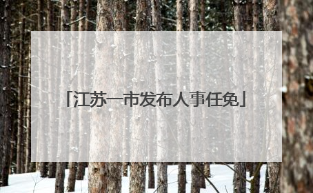 江苏一市发布人事任免