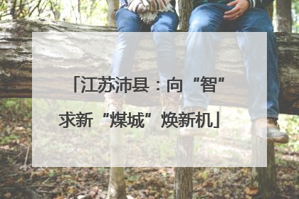 江苏沛县：向“智”求新“煤城”焕新机