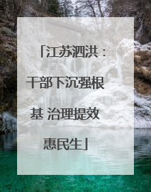江苏泗洪：干部下沉强根基 治理提效惠民生