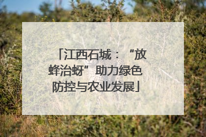 江西石城：“放蜂治蚜”助力绿色防控与农业发展