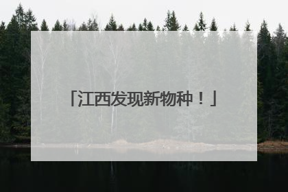 江西发现新物种！
