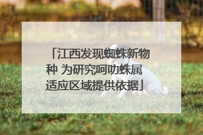 江西发现蜘蛛新物种 为研究呵叻蛛属适应区域提供依据