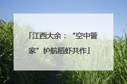 江西大余：“空中管家”护航稻虾共作