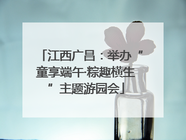 江西广昌：举办“童享端午·粽趣横生”主题游园会