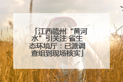 江西赣州“黄河水”引关注 省生态环境厅：已派调查组到现场核实