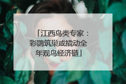 江西鸟类专家：彩鹮筑巢或撬动全年观鸟经济链