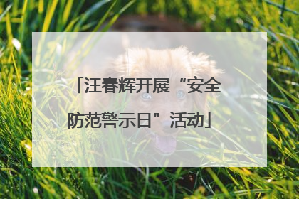 汪春辉开展“安全防范警示日”活动