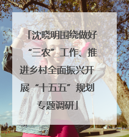 沈晓明围绕做好“三农”工作、推进乡村全面振兴开展“十五五”规划专题调研