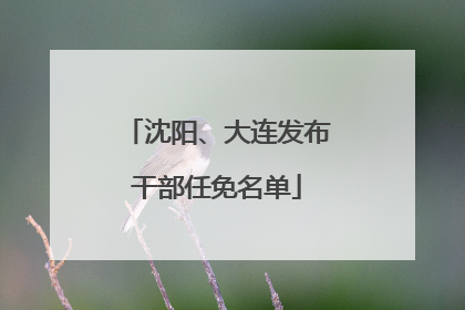 沈阳、大连发布干部任免名单