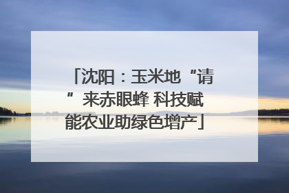 沈阳：玉米地“请”来赤眼蜂 科技赋能农业助绿色增产