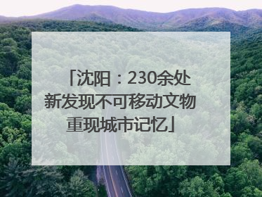沈阳：230余处新发现不可移动文物重现城市记忆