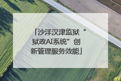 沙洋汉津监狱“狱政AI系统”创新管理服务效能