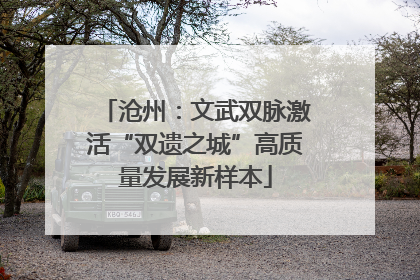 沧州：文武双脉激活“双遗之城”高质量发展新样本