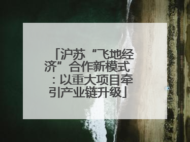 沪苏“飞地经济”合作新模式：以重大项目牵引产业链升级