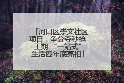 河口区崇文社区项目：争分夺秒抢工期 “一站式”生活圈年底亮相