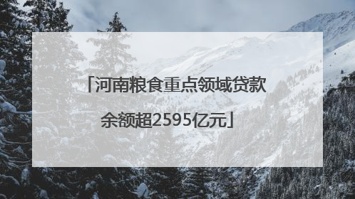 河南粮食重点领域贷款余额超2595亿元