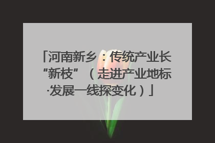 河南新乡：传统产业长“新枝”（走进产业地标·发展一线探变化）