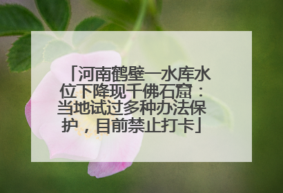 河南鹤壁一水库水位下降现千佛石窟：当地试过多种办法保护，目前禁止打卡