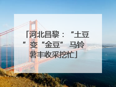 河北昌黎：“土豆”变“金豆” 马铃薯丰收采挖忙