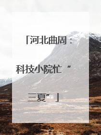 河北曲周：科技小院忙“三夏”