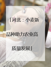 河北：小麦新品种助力农业高质量发展