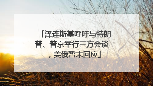 泽连斯基呼吁与特朗普、普京举行三方会谈，美俄暂未回应