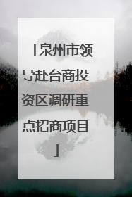 泉州市领导赴台商投资区调研重点招商项目