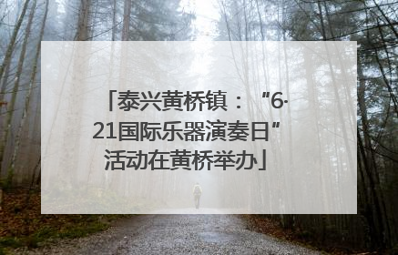 泰兴黄桥镇：“6·21国际乐器演奏日”活动在黄桥举办