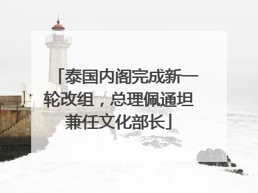 泰国内阁完成新一轮改组，总理佩通坦兼任文化部长