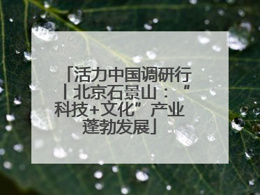 活力中国调研行丨北京石景山：“科技+文化”产业蓬勃发展