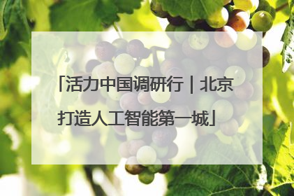 活力中国调研行｜北京打造人工智能第一城