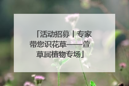 活动招募丨专家带您识花草——萱草属植物专场