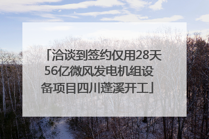 洽谈到签约仅用28天 56亿微风发电机组设备项目四川蓬溪开工